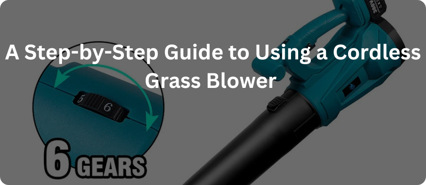 Types of leaf blowers and how to choose one