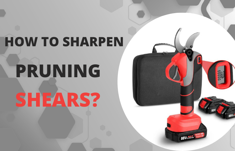 How To Sharpen Pruning Shears In 11 Simple Steps