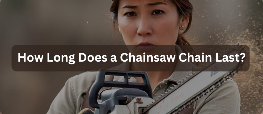How Long Does A Chainsaw Chain Last ONEVAN how-long-does-a-chainsaw-chain-last-onevan