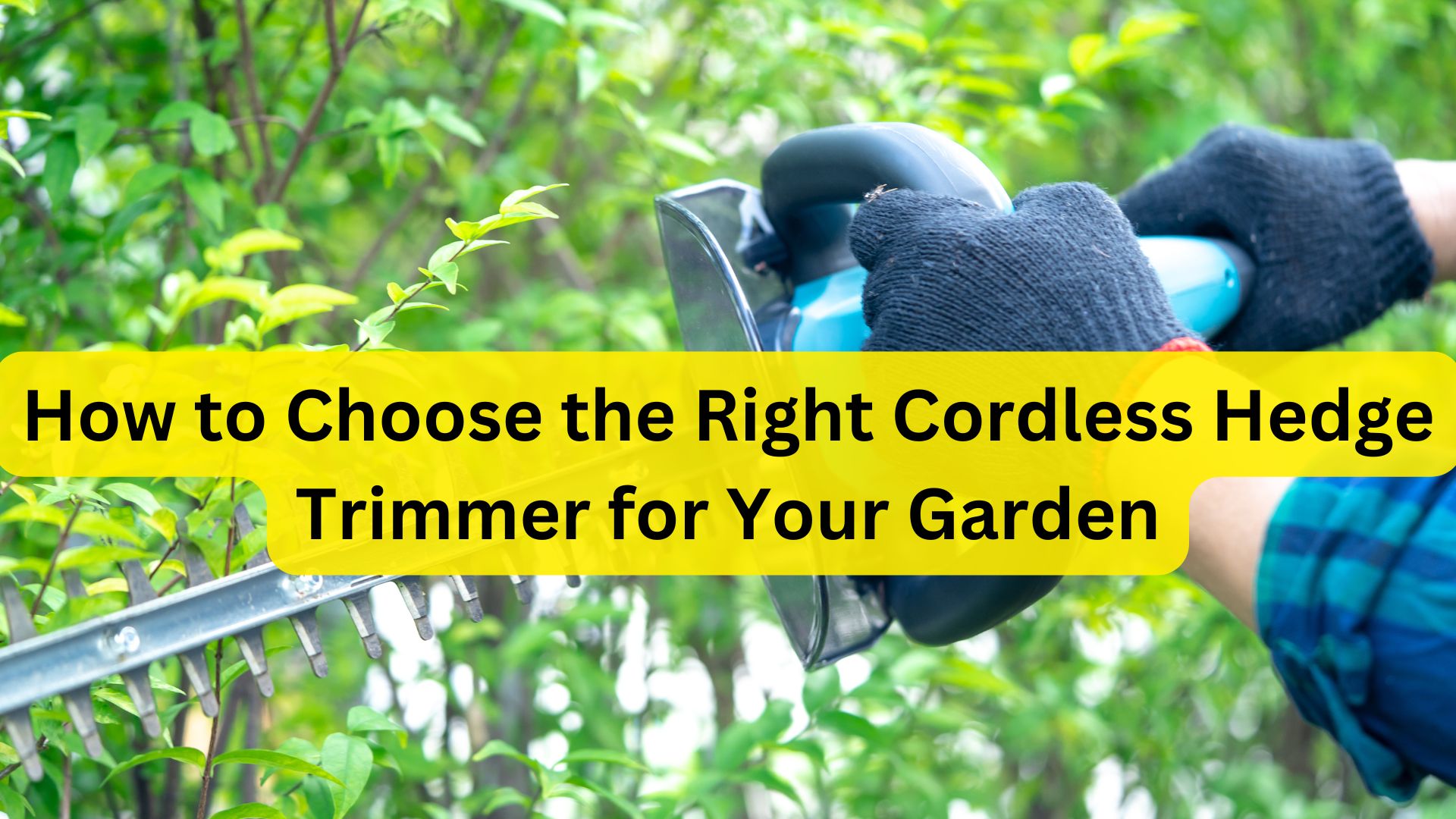 How to Choose the Right Cordless Hedge Trimmer for Your Garden