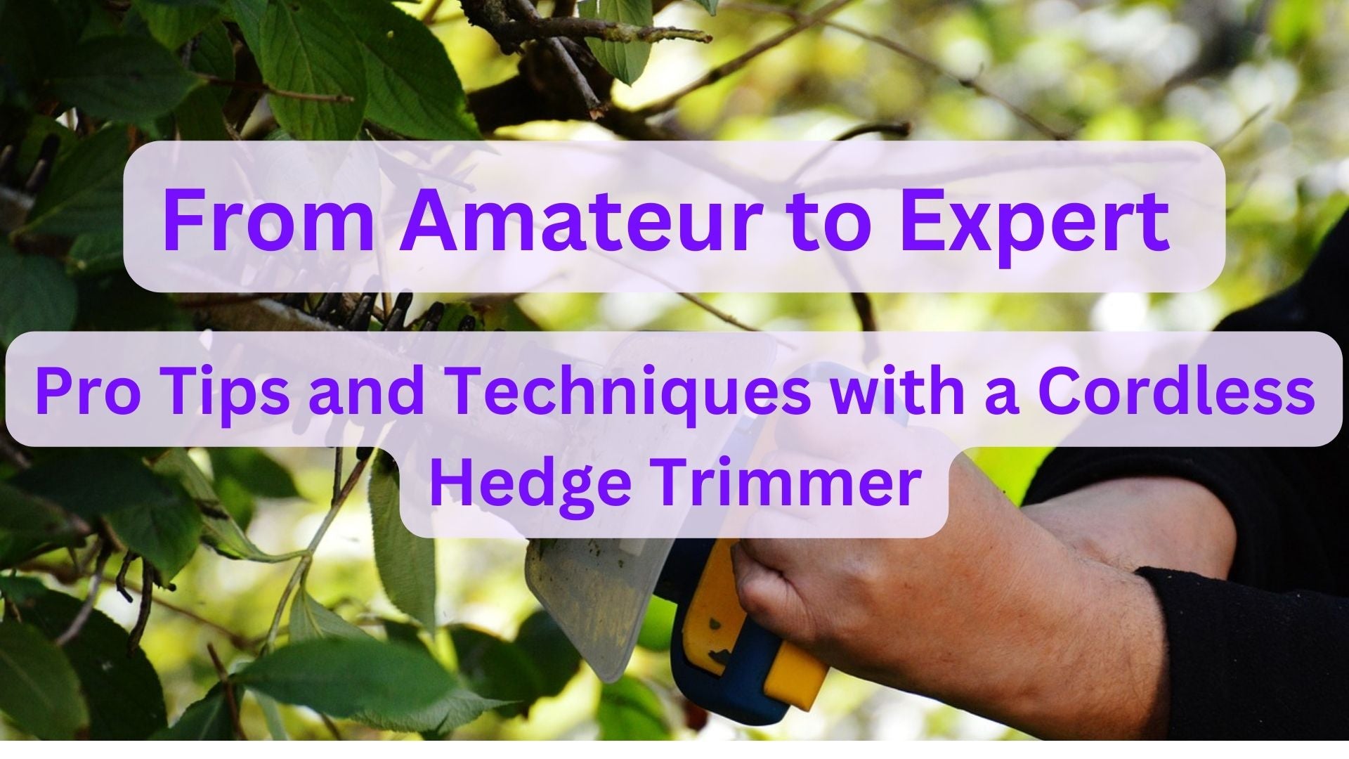 From Amateur to Expert: Pro Tips and Techniques with a Cordless Hedge Trimmer