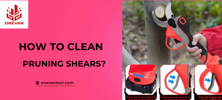 How To Clean Pruning Shears: Step By Step Guide