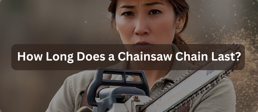 How Long Does a Chainsaw Chain Last?