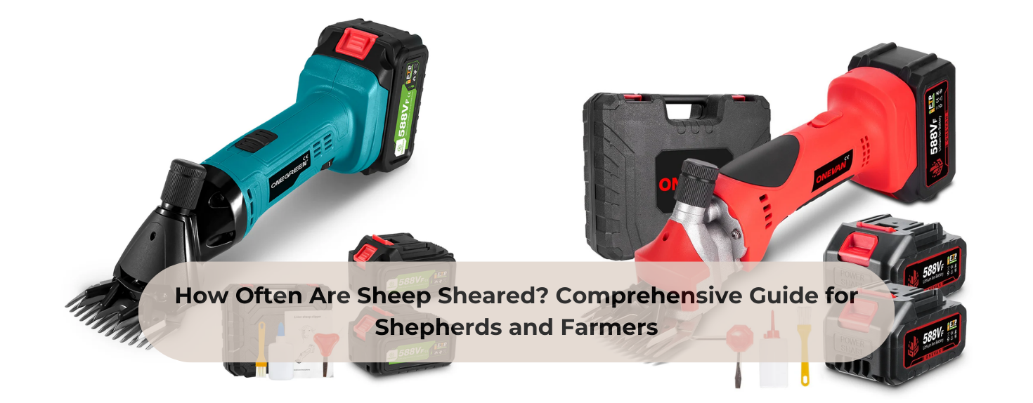 How Often Are Sheep Sheared? Comprehensive Guide for Shepherds and Farmers