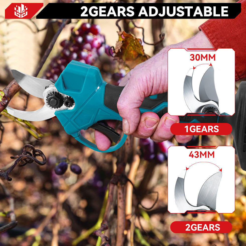 ONEVAN 8" Chainsaw & 25mm Pruner with 2m Telescoping Pole Brushless Cordless Combo Kit